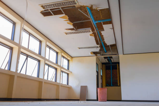 Best Residential water damage restoration  in El Cerro Mission, NM