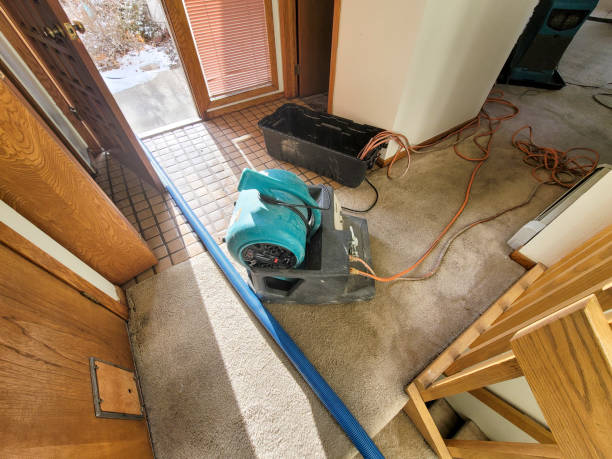Best Basement water damage restoration  in El Cerro Mission, NM