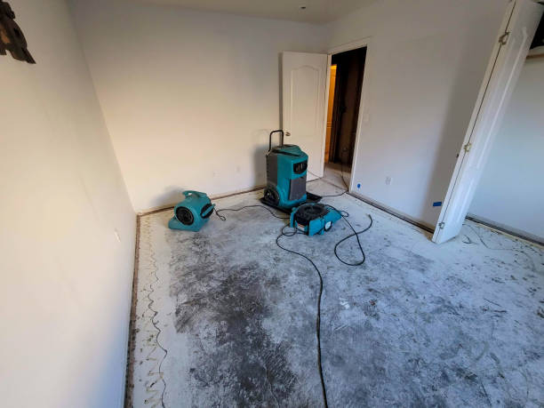 Best Commercial water damage restoration  in El Cerro Mission, NM