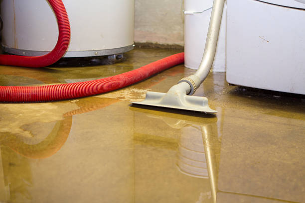 Best Water damage cleanup near me  in El Cerro Mission, NM